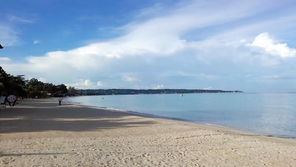 Coco La Palm Hotell Negril